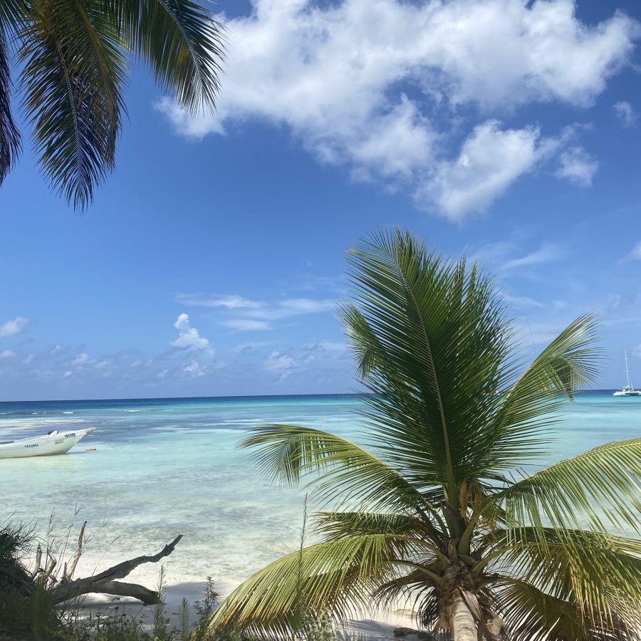 Isla Saona